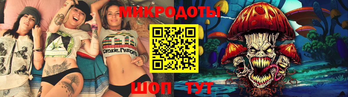 Псилоцибиновые грибы мицелий Владивосток
